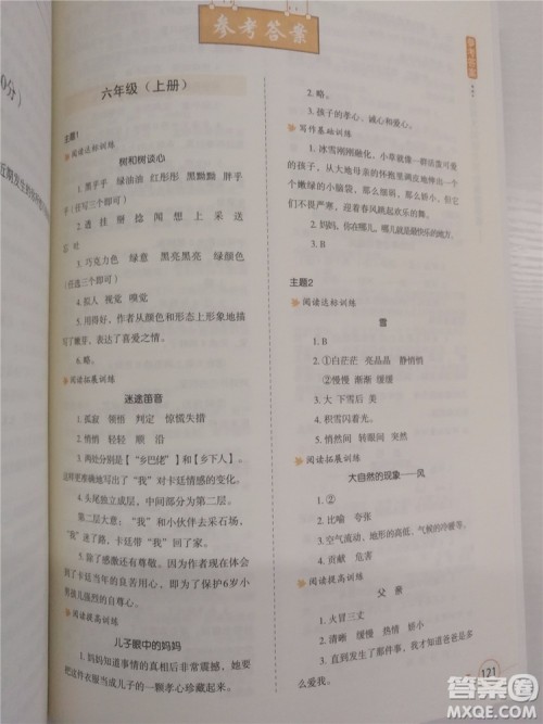 2018年小学生语文阅读与写作高效训练六年级参考答案