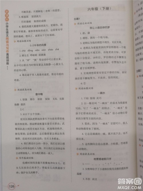 2018年小学生语文阅读与写作高效训练六年级参考答案