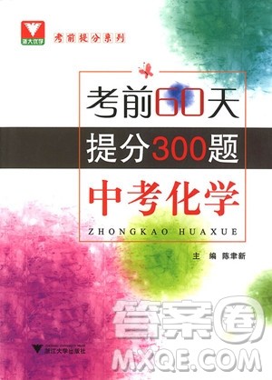 2018年考前60天提分300题中考化学参考答案