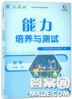 9787107317132能力培养与测试2018秋九年级化学上人教版参考答案