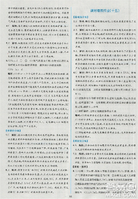 2018新版同步导学案课时练生物必修1人教版答案