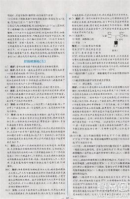 2018版同步导学案课时练生物人教版必修2参考答案