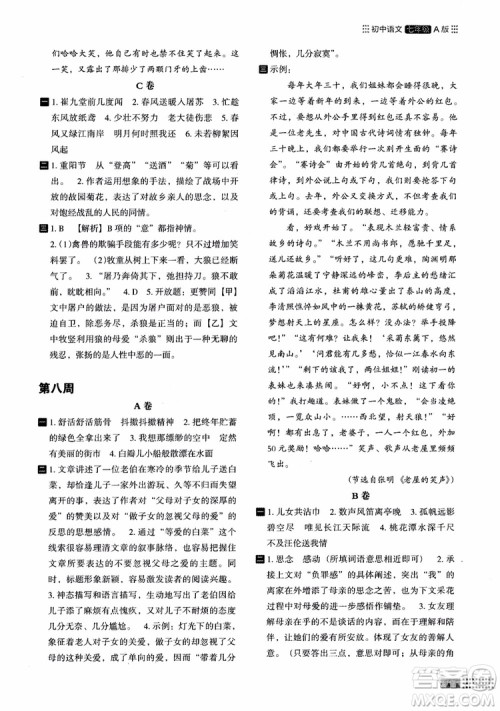 2018年木头马阅读小卷初中语文7年级A版参考答案