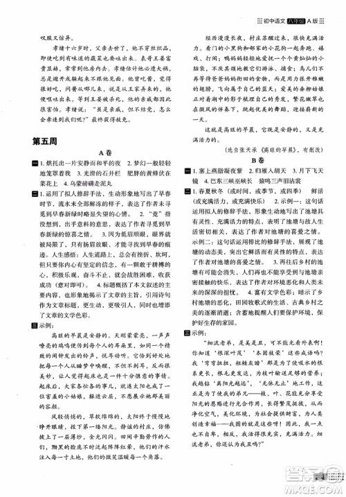 2018部编版木头马阅读小卷初中语文8年级A版参考答案 2018部编版木头马阅读小卷初中语文8年级A版参考答案