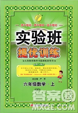 2018秋实验班提优训练6六年级上册数学青岛版QD参考答案 2018秋实验班提优训练6六年级上册数学青岛版QD参考答案