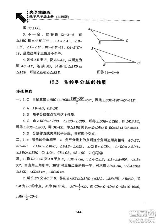 2019版尖子生题库八年级数学上册RJ人教版参考答案 2019版尖子生题库八年级数学上册RJ人教版参考答案