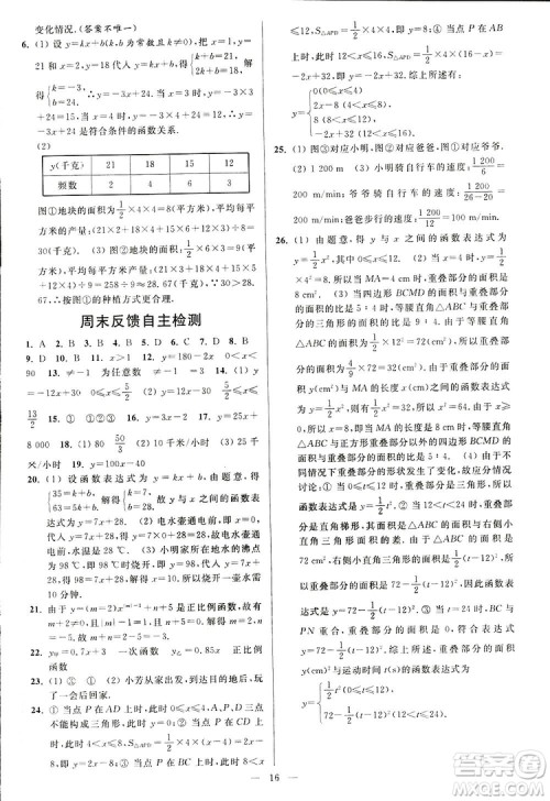 2019亮点给力周末优化设计大试卷数学八年级上册江苏版答案