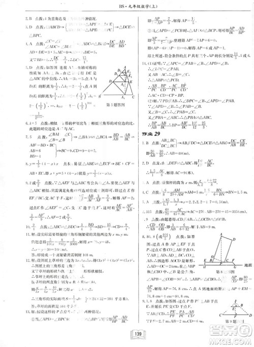 启东中学作业本九年级上册数学北师大版参考答案