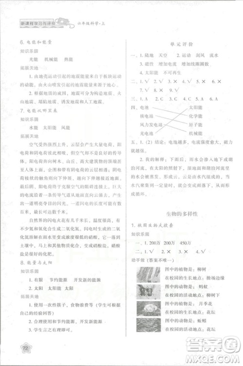 2018年新版小学生新课程学习与评价六年级科学上册K版人教版答案 2018年新版小学生新课程学习与评价六年级科学上册K版人教版答案