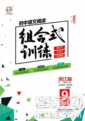 2018年初中语文阅读组合式训练九年级浙江版参考答案