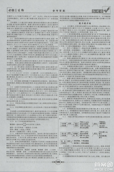 人教版2019红对勾课课通大考卷高中生物必修1参考答案 人教版2019红对勾课课通大考卷高中生物必修1参考答案