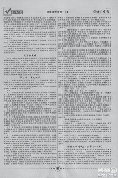 人教版2019红对勾课课通大考卷高中生物必修1参考答案