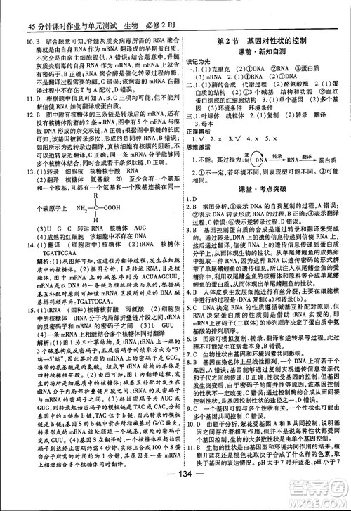 45分钟课时作业与单元测试人教版高中生物必修2参考答案