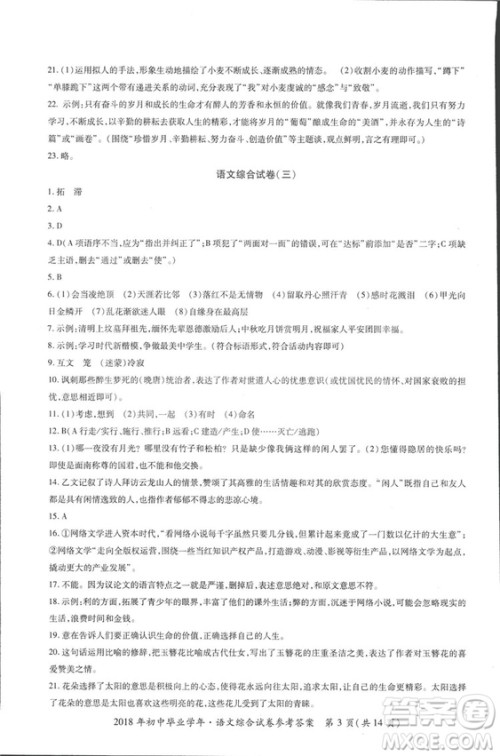 2018年资源与评价中考全程总复习语文D版参考答案