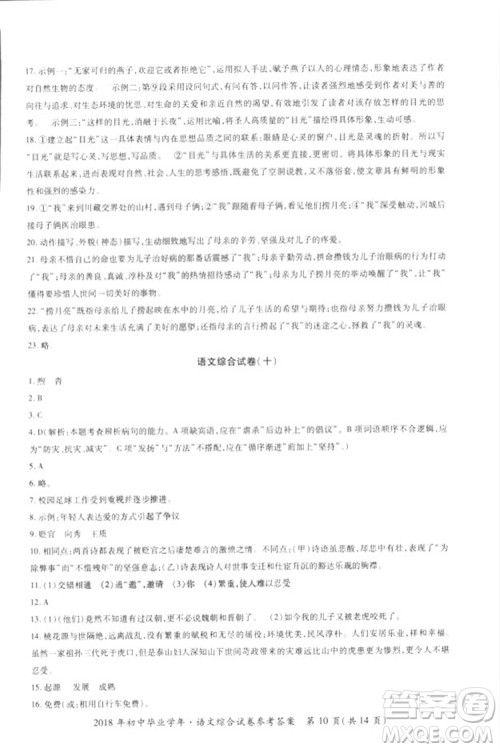 2018年资源与评价中考全程总复习语文D版参考答案