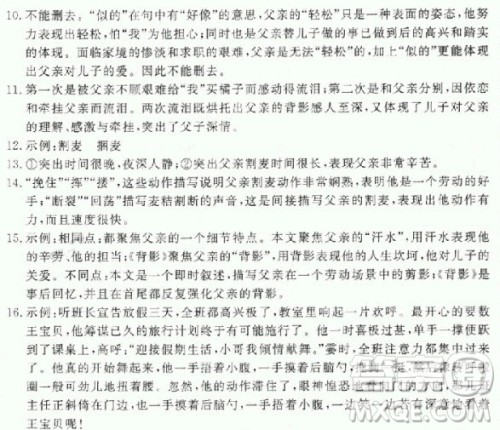 2018秋人教版RJ学练优核心素质提高训练八年级上册语文参考答案
