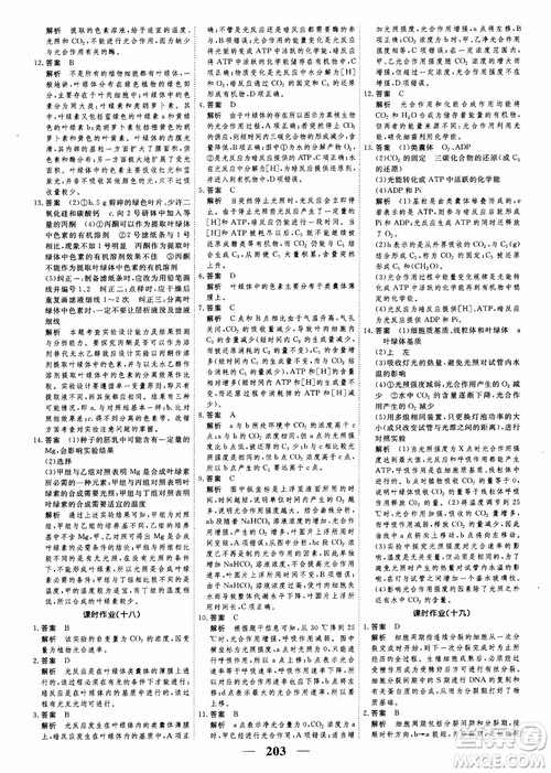 2019衡水重点中学高考调研同步精讲精练新课标版生物必修1参考答案