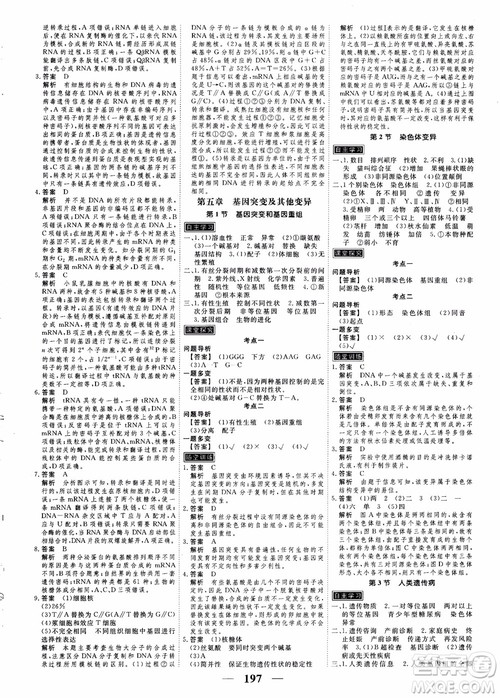 衡水重点中学高考调研2018同步精讲精练新课标版生物必修2参考答案 衡水重点中学高考调研2018同步精讲精练新课标版生物必修2参考答案