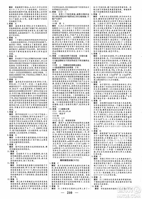 衡水重点中学高考调研2018同步精讲精练新课标版生物必修2参考答案 衡水重点中学高考调研2018同步精讲精练新课标版生物必修2参考答案