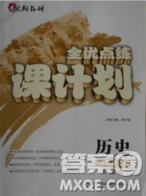全优点练课计划2018九年级历史上岳麓版答案