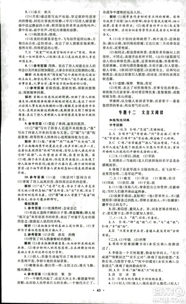 初中总复习优化设计2018人教版语文参考答案