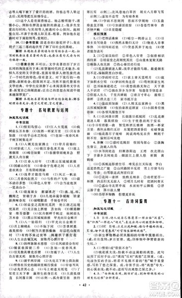 初中总复习优化设计2018人教版语文参考答案