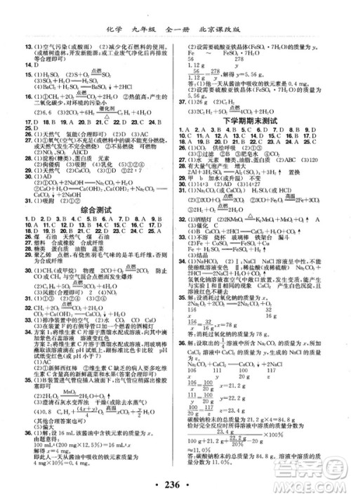 2018版新课改课堂作业化学九年级全一册北京课改版答案