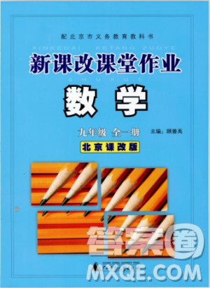 2018版新课改课堂作业九年级数学全一册北京课改版参考答案