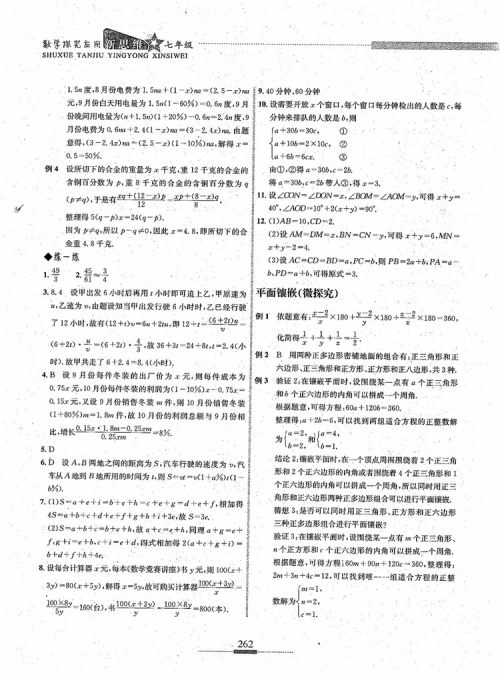 2018年探究应用新思维七年级数学参考答案
