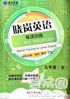 2018晓岚英语专项训练九年级全册参考答案