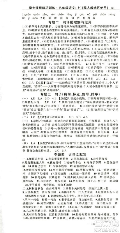 2018版学生课程精巧训练语文八年级上册人教RJ版答案