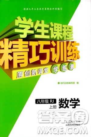 2018版学生课程精巧训练数学八年级上册人教RJ版答案