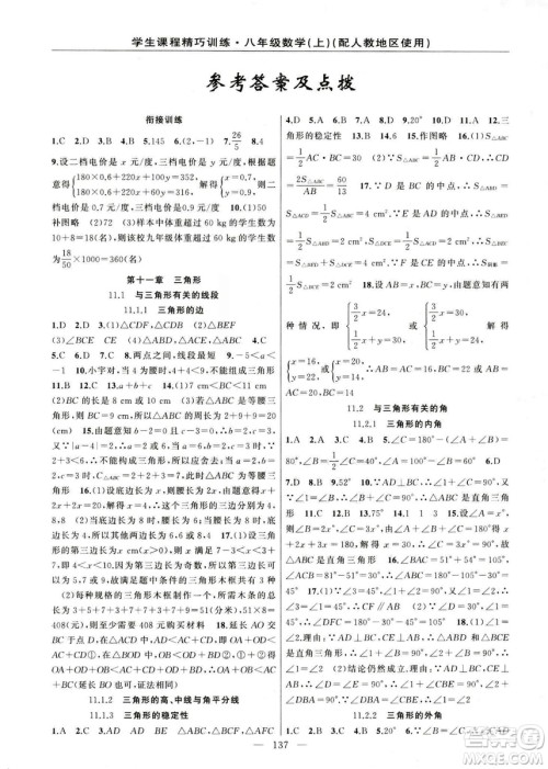 2018版学生课程精巧训练数学八年级上册人教RJ版答案