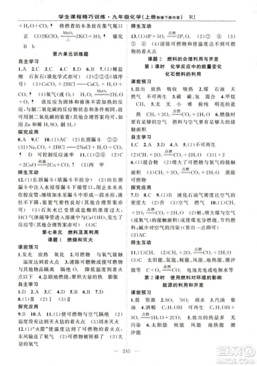 2018版学生课程精巧训练化学八年级上册人教RJ版答案
