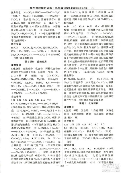 2018版学生课程精巧训练化学八年级上册人教RJ版答案
