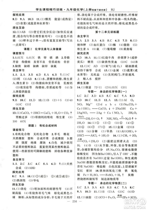 2018版学生课程精巧训练化学八年级上册人教RJ版答案