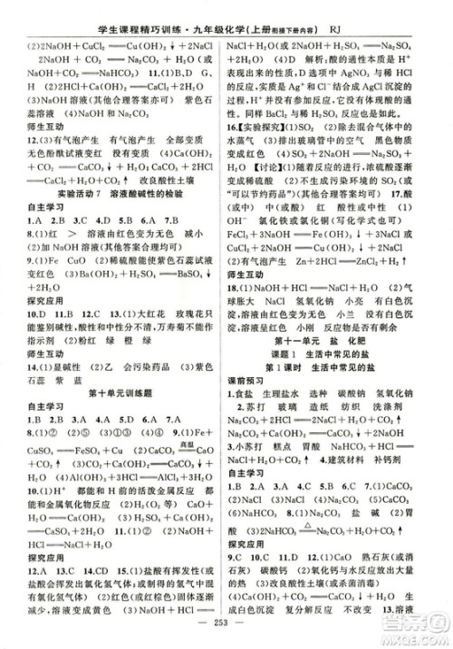 2018版学生课程精巧训练化学八年级上册人教RJ版答案