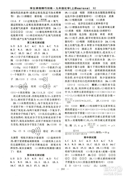 2018版学生课程精巧训练化学八年级上册人教RJ版答案