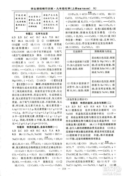 2018版学生课程精巧训练化学八年级上册人教RJ版答案