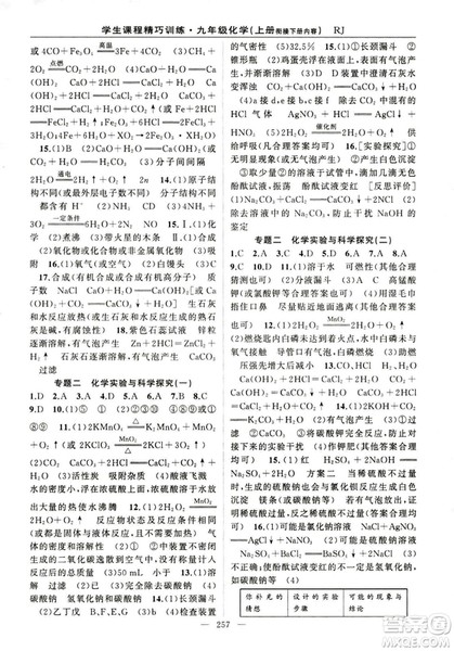 2018版学生课程精巧训练化学八年级上册人教RJ版答案 2018版学生课程精巧训练化学八年级上册人教RJ版答案