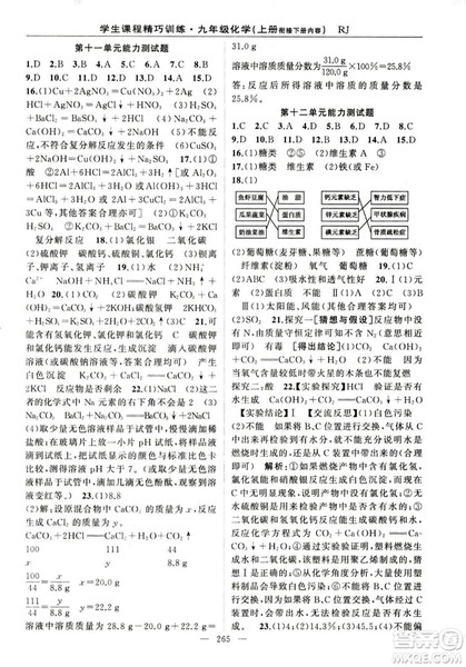 2018版学生课程精巧训练化学八年级上册人教RJ版答案