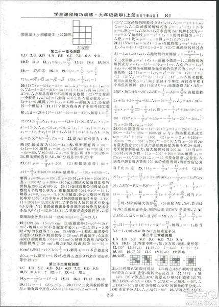 2018版学生课程精巧训练数学九年级上册人教RJ版答案