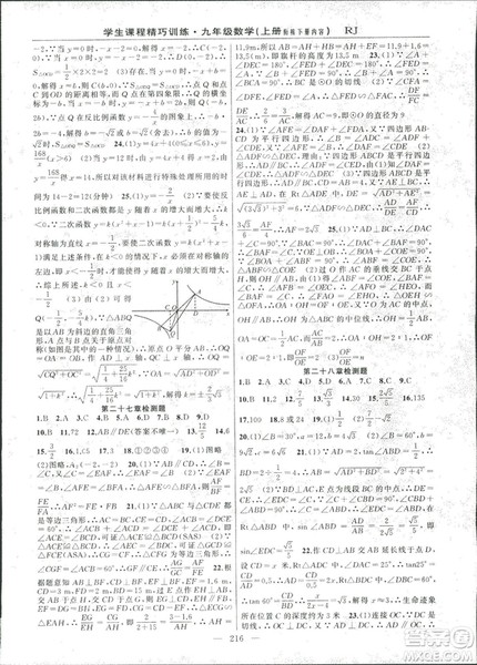 2018版学生课程精巧训练数学九年级上册人教RJ版答案