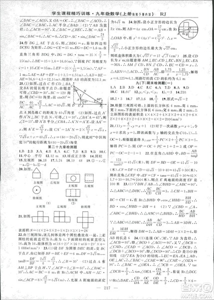 2018版学生课程精巧训练数学九年级上册人教RJ版答案