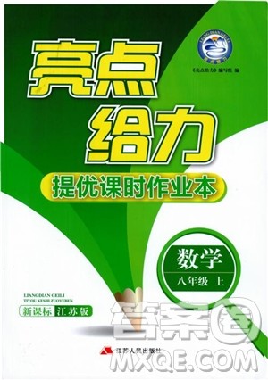 江苏人民出版社2019版亮点给力提优课时作业本数学八年级上江苏版参考答案