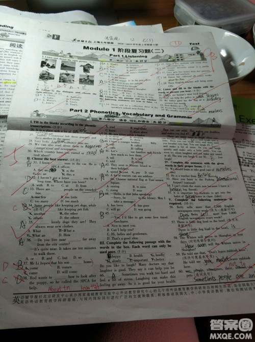 英语辅导报2018上海七年级版第5期答案 英语辅导报2018上海七年级版第5期答案