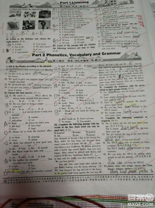 英语辅导报2018上海七年级版第2期答案 英语辅导报2018上海七年级版第2期答案