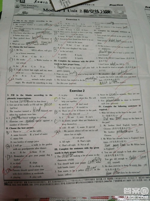 英语辅导报2018上海七年级版第2期答案 英语辅导报2018上海七年级版第2期答案