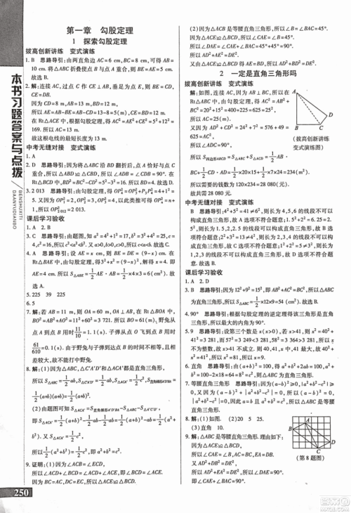 9787552241440初中倍速学习法八年级数学上册北师大版2018参考答案