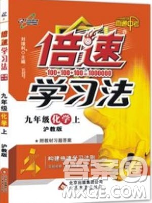 2019版倍速学习法九年级化学沪教版上册参考答案